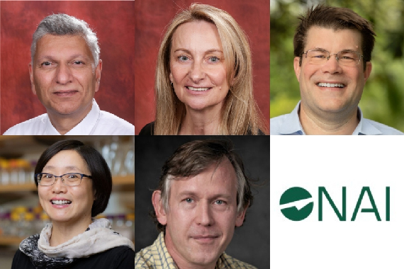 Pradeep Bhide, Ava Bienkiewicz, Christian Bleiholder, Yan-Yan Hu, Ulf Trociewitz