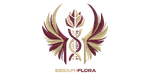 Seraph Flora logo featuring a symmetrical winged emblem in gold and burgundy tones surrounding a central botanical or caduceus‑like symbol, with the words “Seraph Flora” below.