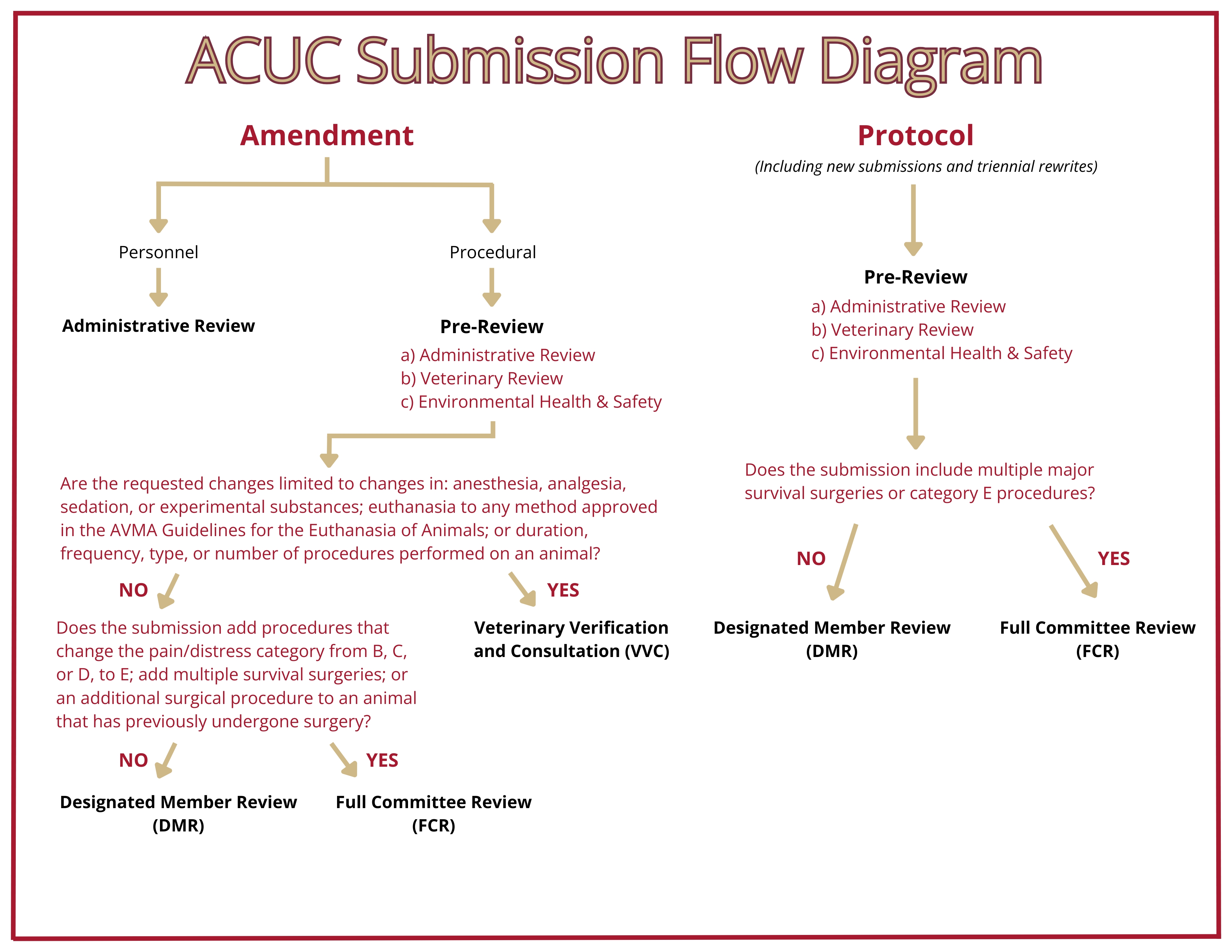 flow chart indicating the submission process for both Amendment and Protocol by ACUC