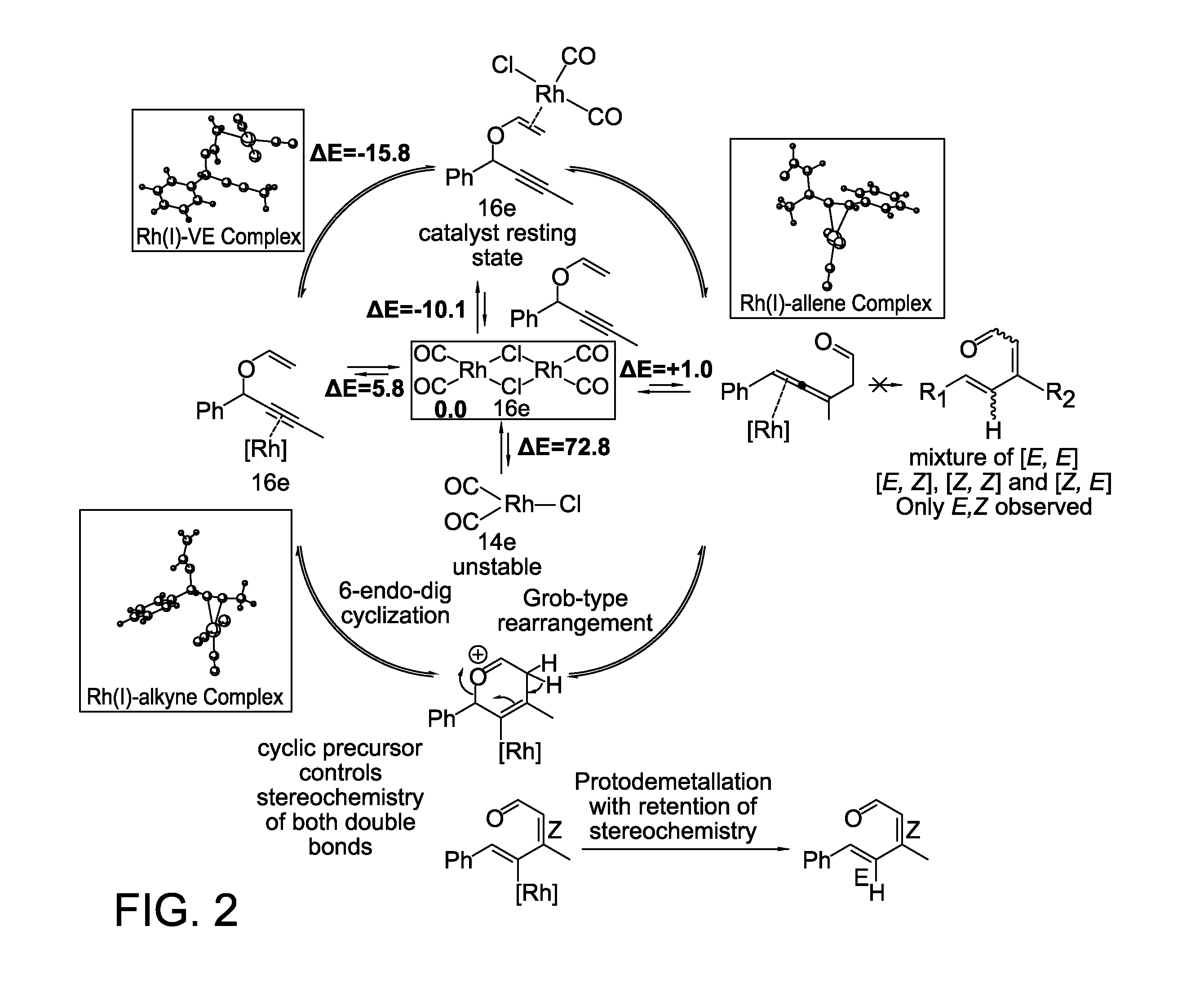 Stero Controlled Synthesis Of E Z Dienals Via Tandem Rh I Catalyzed Propargyl Claisen Rearrangement Fsu Office Of Research